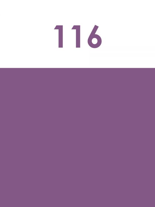 Краска акриловая художественная матовая 2,5 гр. цвет 116