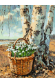Картина по номерам на подрамнике «Подснежники» 50x40 см