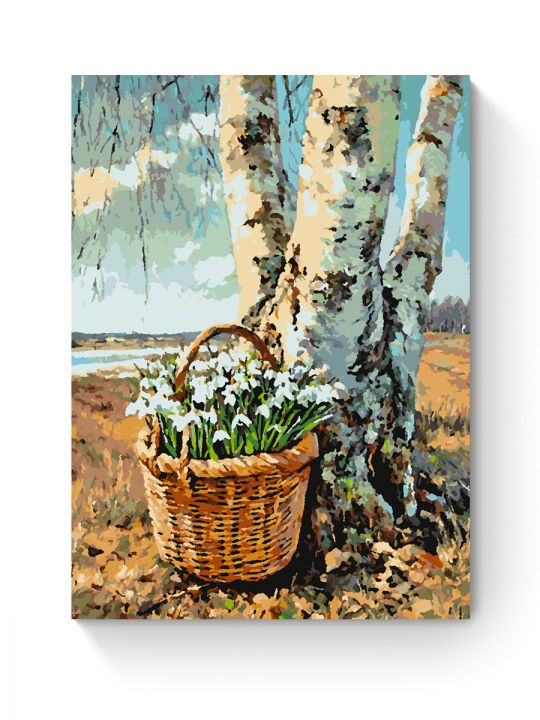 Картина по номерам на подрамнике «Подснежники» 40x30 см