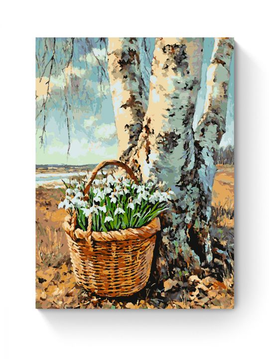 Картина по номерам на подрамнике «Подснежники» 50x40 см