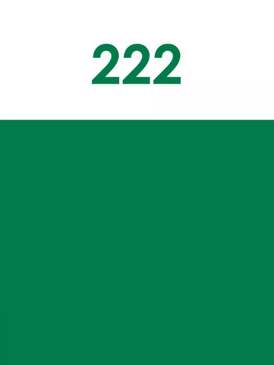 Краска акриловая художественная матовая 2,5 гр. цвет 222