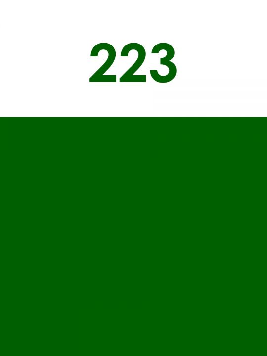 Краска акриловая художественная матовая 2,5 гр. цвет 223