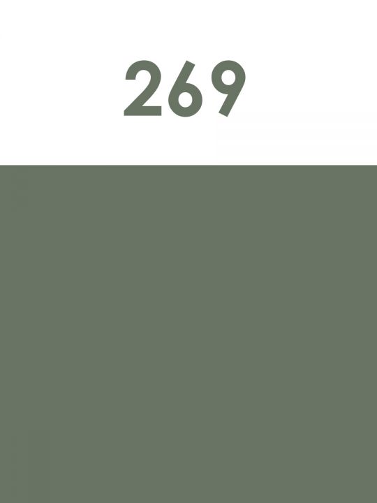 Краска акриловая художественная матовая 2,5 гр. цвет 269