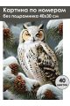 Картина по номерам без подрамника «Совушка» 40x30 см