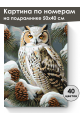 Картина по номерам на подрамнике «Совушка» 50x40 см