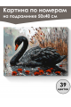 Картина по номерам на подрамнике «Чёрный лебедь» 50x40 см