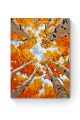 Картина по номерам на подрамнике «Краски осени» 40x30 см