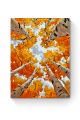 Картина по номерам на подрамнике «Краски осени» 50x40 см
