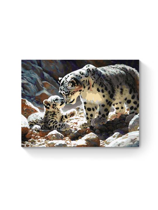 Картина по номерам на подрамнике «Снежные барсы» 50x40 см