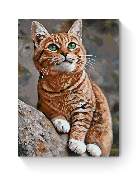 Картина по номерам на подрамнике «Рыжий кот» 50x40 см