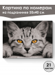 Картина по номерам на подрамнике «Серый котёнок» 50x40 см