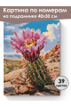Картина по номерам на подрамнике «Цветущий кактус» 40x30 см