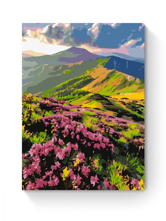 Картина по номерам на подрамнике «Горная долина» 50x40 см