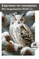 Картина по номерам без подрамника «Совушка» 35x25 см