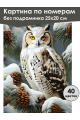 Картина по номерам без подрамника «Совушка» 25x20 см