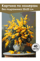 Картина по номерам без подрамника «Букет мимоз» 35x25 см