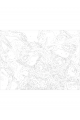 Картина по номерам на подрамнике «Яркая бабочка» 40x30 см