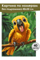 Картина по номерам без подрамника «Попугайчик» 40x30 см