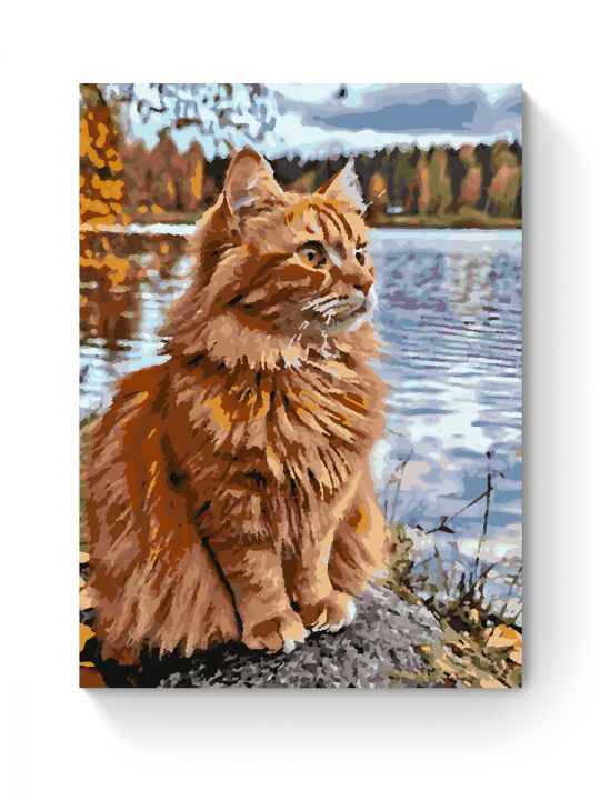 Картина по номерам на подрамнике «Рыжий кот» 50x40 см