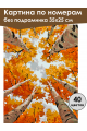 Картина по номерам без подрамника «Краски осени» 35x25 см