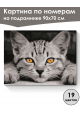 Картина по номерам на подрамнике «Серый котёнок» 90x70 см