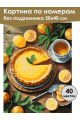 Картина по номерам без подрамника «Лимонный вкус» 50x40 см