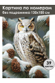 Картина по номерам без подрамника «Совушка» 130x100 см