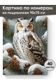 Картина по номерам на подрамнике «Совушка» 90x70 см