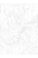 Картина по номерам на подрамнике «Гитарист» 40x30 см
