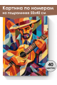 Картина по номерам на подрамнике «Гитарист» 50x40 см