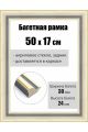 Рамка багетная для картин со стеклом 50 x 17 см, РБ-111