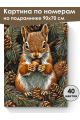 Картина по номерам на подрамнике «Белочка» 90x70 см