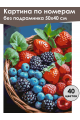 Картина по номерам без подрамника «Вкус лета» 50x40 см