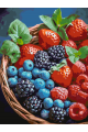 Картина по номерам на подрамнике «Вкус лета» 50x40 см
