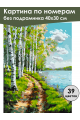 Картина по номерам без подрамника «Березы у воды» 40x30 см