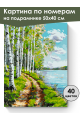 Картина по номерам на подрамнике «Березы у воды» 50x40 см