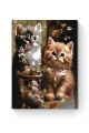 Картина по номерам на подрамнике «Котята» 25x20 см