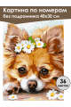 Картина по номерам без подрамника «Чихуахуа» 40x30 см