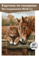 Картина по номерам без подрамника «Кот и лошадь» 40x30 см