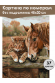Картина по номерам без подрамника «Кот и лошадь» 40x30 см