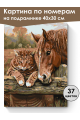 Картина по номерам на подрамнике «Кот и лошадь» 40x30 см