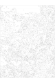 Картина по номерам без подрамника «Розовые пионы» 40x30 см