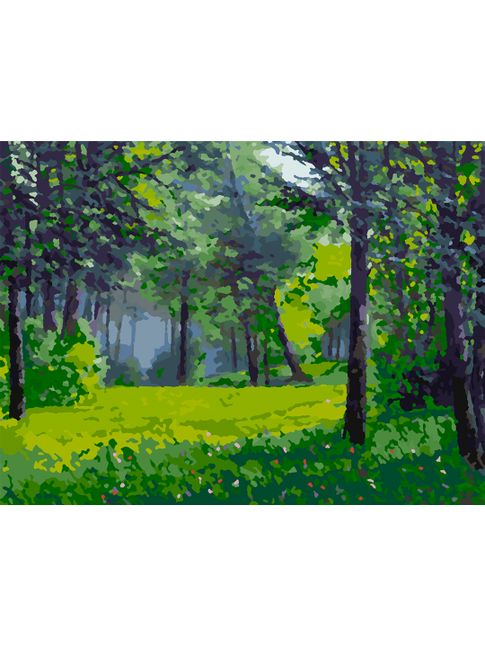 Картина по номерам без подрамника «Лесная поляна» 40x30 см