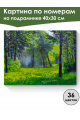 Картина по номерам на подрамнике «Лесная поляна» 40x30 см