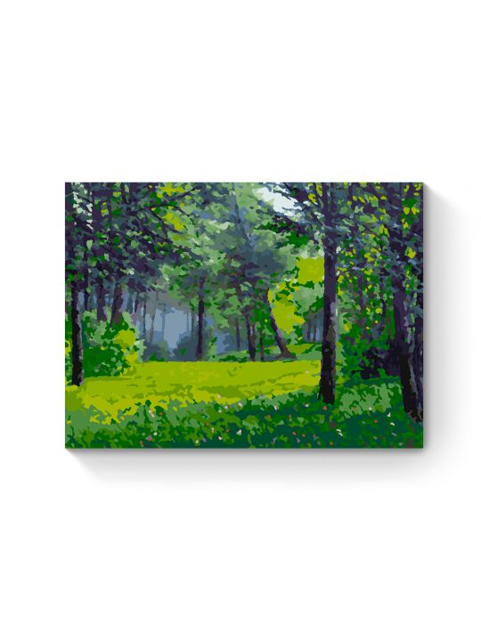 Картина по номерам на подрамнике «Лесная поляна» 40x30 см