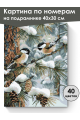 Картина по номерам на подрамнике «Синички» 40x30 см