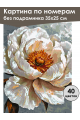 Картина по номерам без подрамника «Белый цветок» 35x25 см