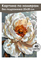 Картина по номерам без подрамника «Белый цветок» 25x20 см