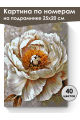 Картина по номерам на подрамнике «Белый цветок» 25x20 см