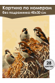 Картина по номерам без подрамника «Воробьи» 40x30 см